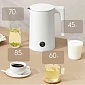 картинка Электрический чайник Mijia Thermostatic Electric Kettle 2 (BHR6328CN) от Дисконт "Революция цен"