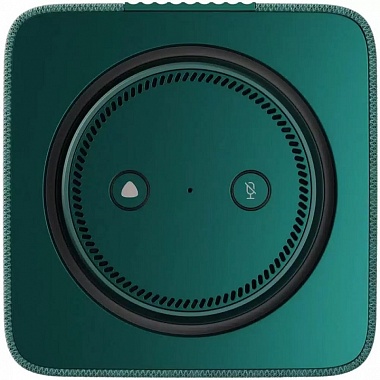 картинка Умная колонка Яндекс Станция Макс с Zigbee (YNDX-00052W) (Зеленая) от Дисконт "Революция цен"